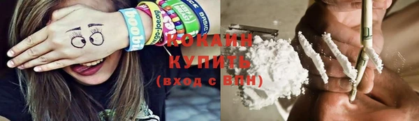 прущие грибы Беломорск