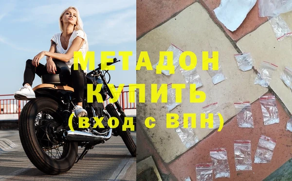 прущие грибы Беломорск