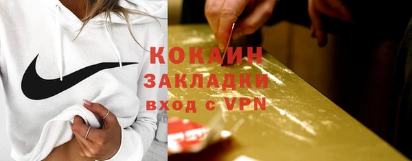 прущие грибы Беломорск