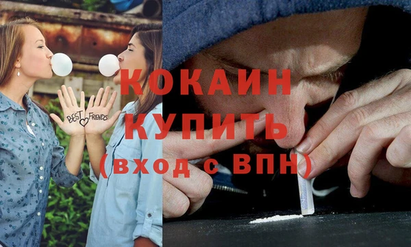 прущие грибы Беломорск