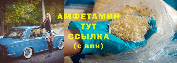 прущие грибы Беломорск