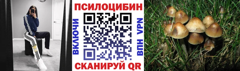 MEGA вход  Губаха  Псилоцибиновые грибы Psilocybe 